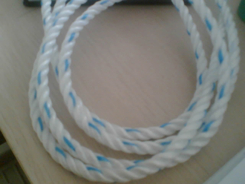 PPFlat wire rope