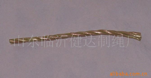 PPFlat wire rope
