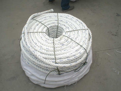 PPFlat wire rope